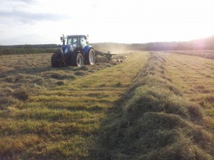 farm 2